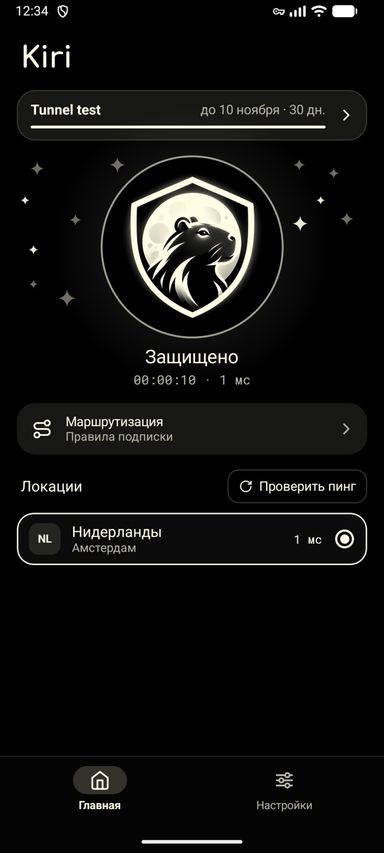 Главный экран: защита включена, таймер соединения, ниже маршрутизация и список локаций с пингом